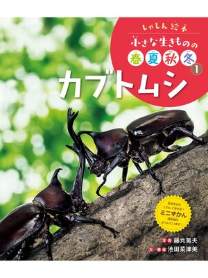 cover image of しゃしん絵本　小さな生きものの春夏秋冬　カブトムシ